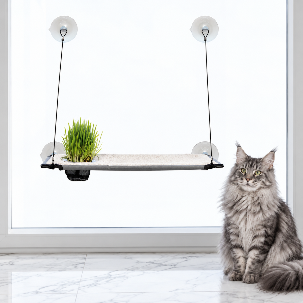 Window Lounger with Cat Grass Grow Station, Single Level — maine coon silver