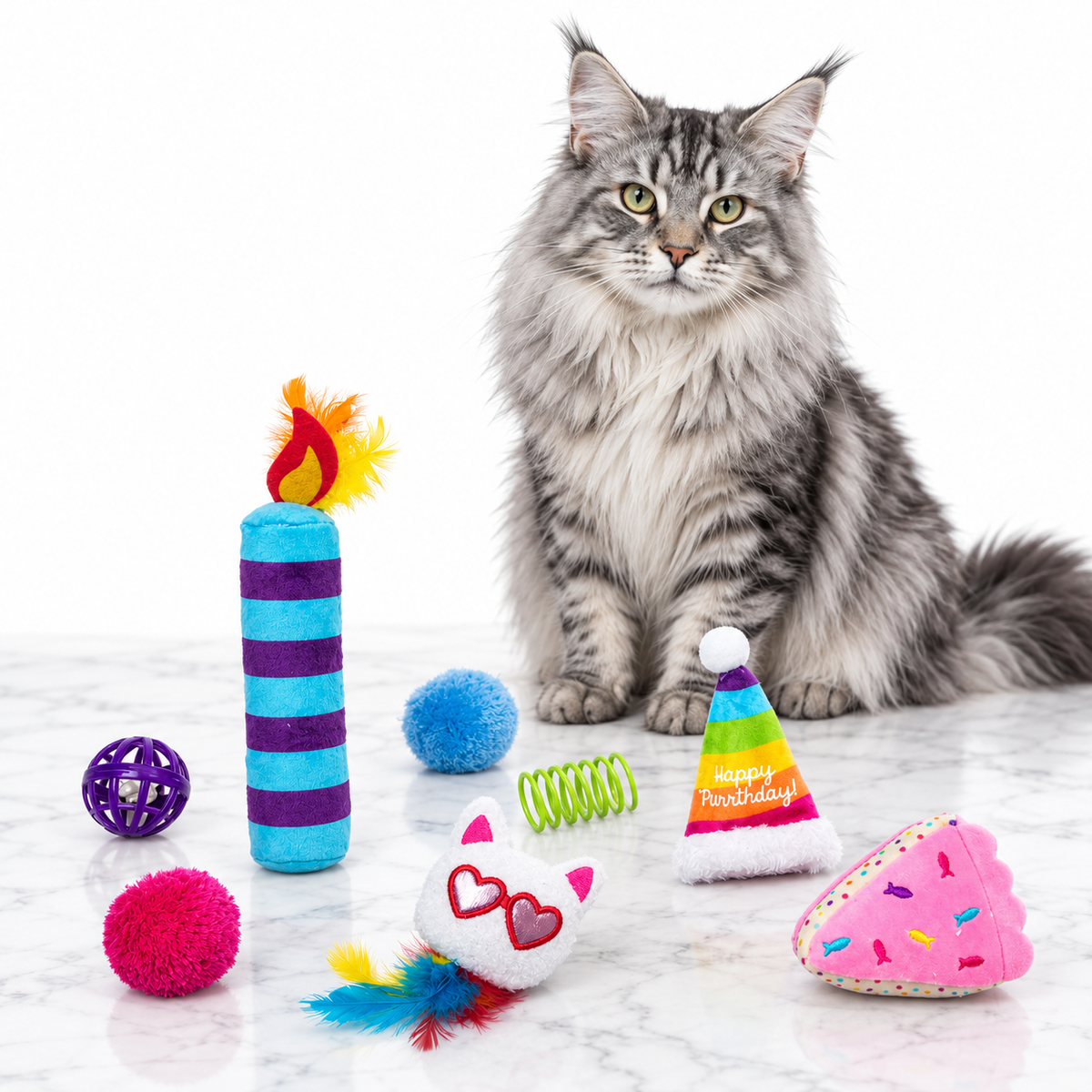 Quirky Kitty Birthday Box 8pk — maine coon silver