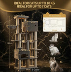 Giant Paws Tower and Grooming Set bundle with Maine Coon cat tower and Cashmere Comb grooming kit