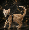 Kitten harness and leash set in black soft mesh with dual buckles