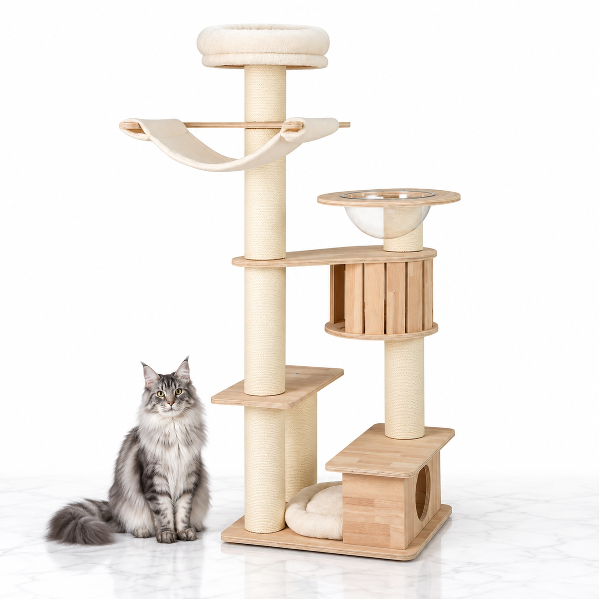 69-inch Wooden Cat Tree with Hammock and Clear Capsule — maine coon silver