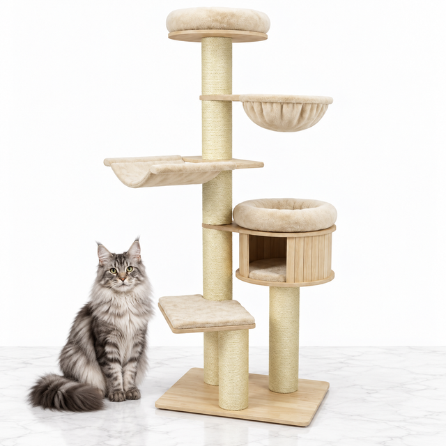 75.5-inch Wooden Cat Tower with Hammocks, Natural — maine coon silver