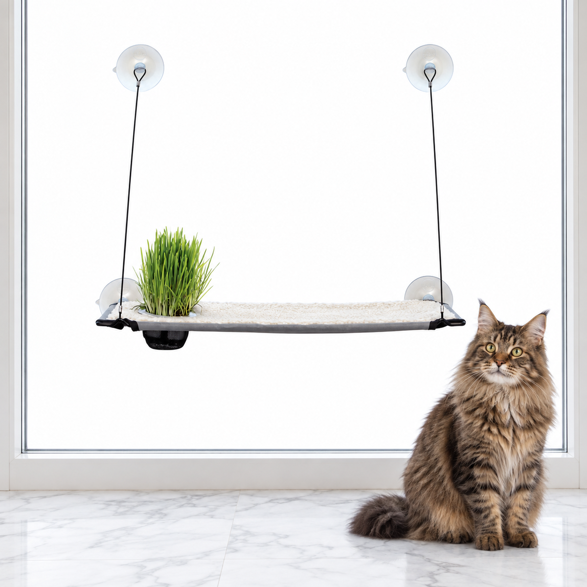 Window Lounger with Cat Grass Grow Station, Single Level — maine coon brown