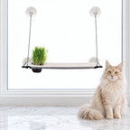 Window Lounger with Cat Grass Grow Station, Single Level — maine coon cream