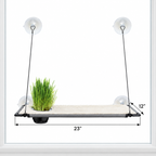 Window Lounger with Cat Grass Grow Station, Single Level — dimensions inches