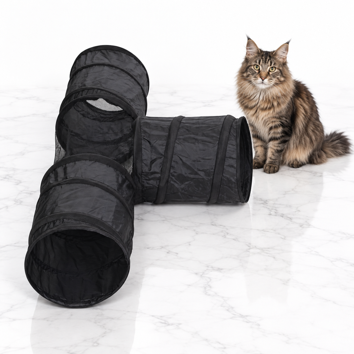 Cat T-Tunnel Toy, Black — maine coon brown
