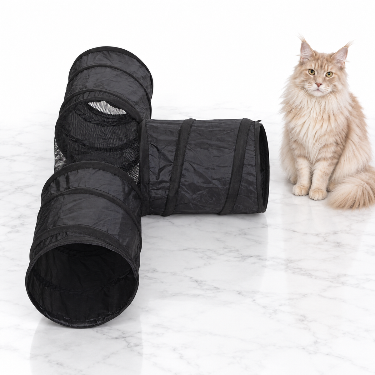 Cat T-Tunnel Toy, Black — maine coon cream