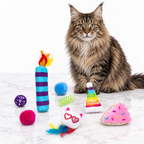 Quirky Kitty Birthday Box 8pk — maine coon brown