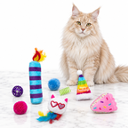Quirky Kitty Birthday Box 8pk — maine coon cream
