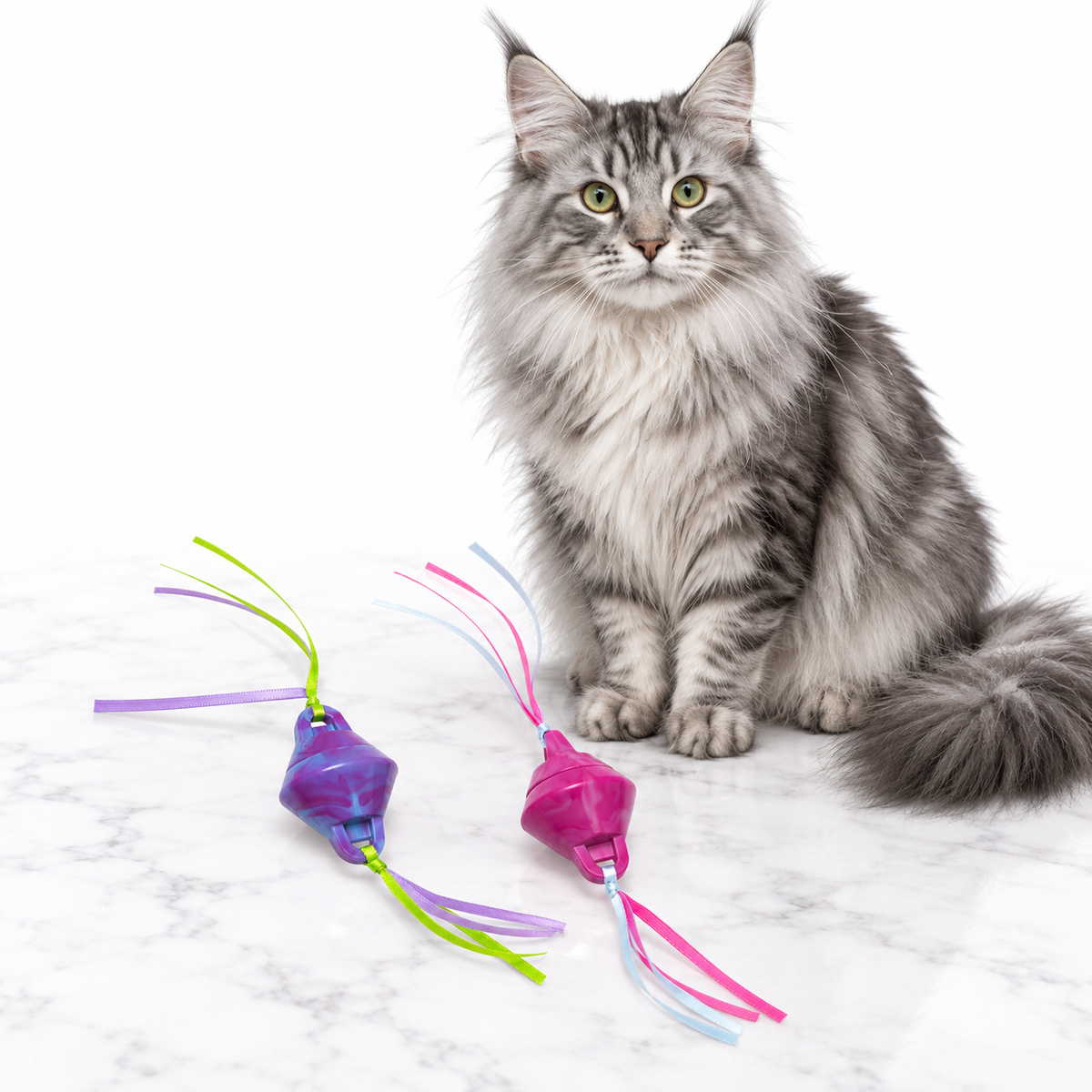 Quirky Kitty Chilly Chasers 2pk — maine coon silver