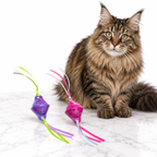 Quirky Kitty Chilly Chasers 2pk — maine coon brown