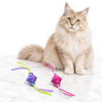 Quirky Kitty Chilly Chasers 2pk — maine coon cream