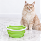 Petmate Bamboo Silicone Travel Bowl, 3 Cups, Green example of assorted color — maine coon cream