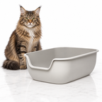 PetFusion BetterBox, Gray, Single Litter Box — maine coon brown