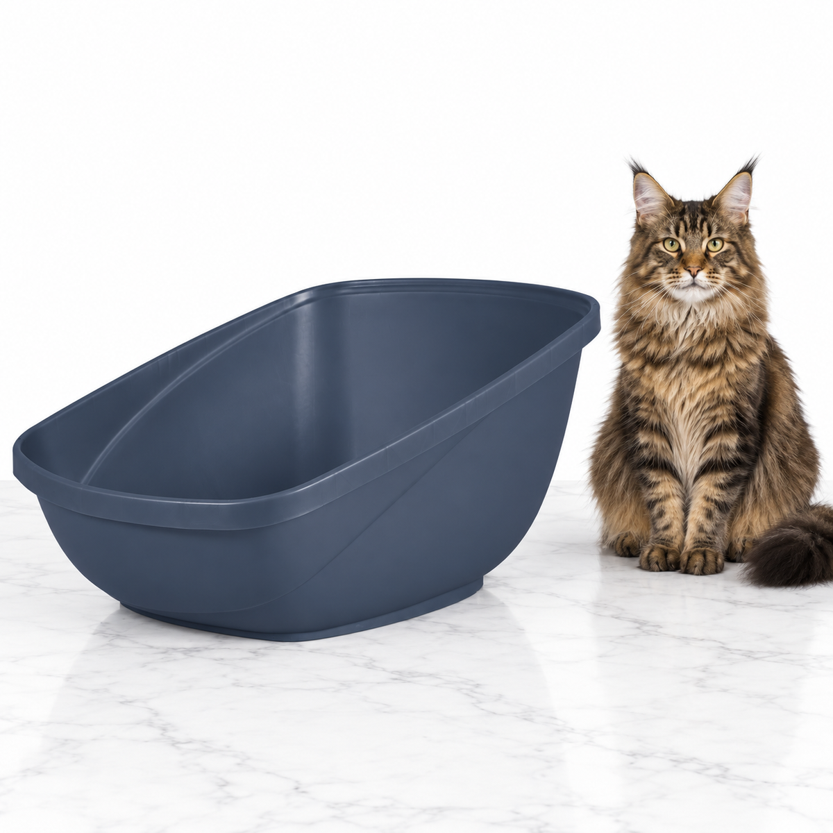 Petmate Hi-Back Open Litter Box, Blue Steel, Jumbo — maine coon brown