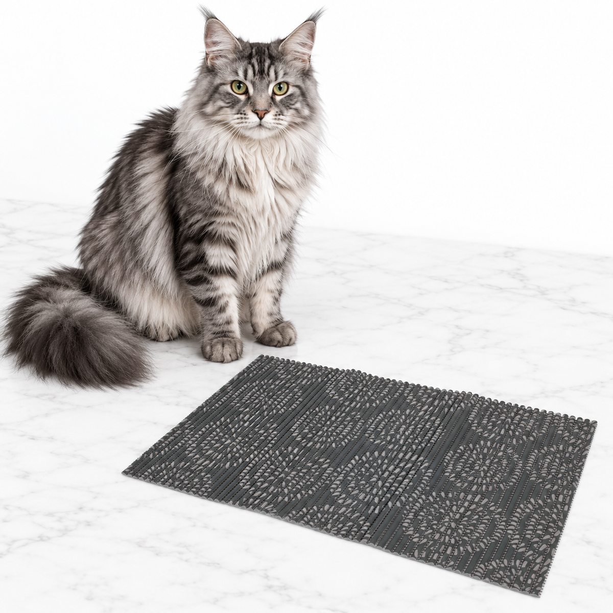 Petmate Ribbed Foam Feeding Mat, Assorted Colours, Gray Sample — maine coon silver