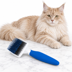 JW Gripsoft Cat Brush, Assorted Colours, Blue and White Sample — maine coon cream