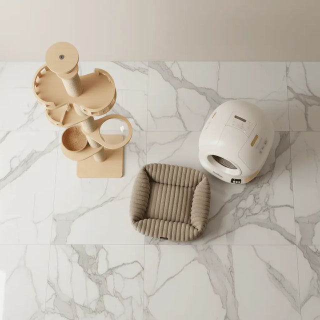 Overhead view of a natural-colour cat tower, white globe litter tray and ribbed rectangular bolster bed.
