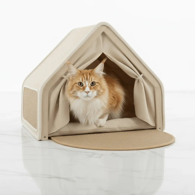 Orange-and-white cat sitting inside a beige peaked-roof tent with tied-back curtains and an extended front mat.