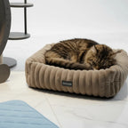 Tabby cat resting in a ribbed bolster bed beside part of an exercise wheel and a blue quilted mat.