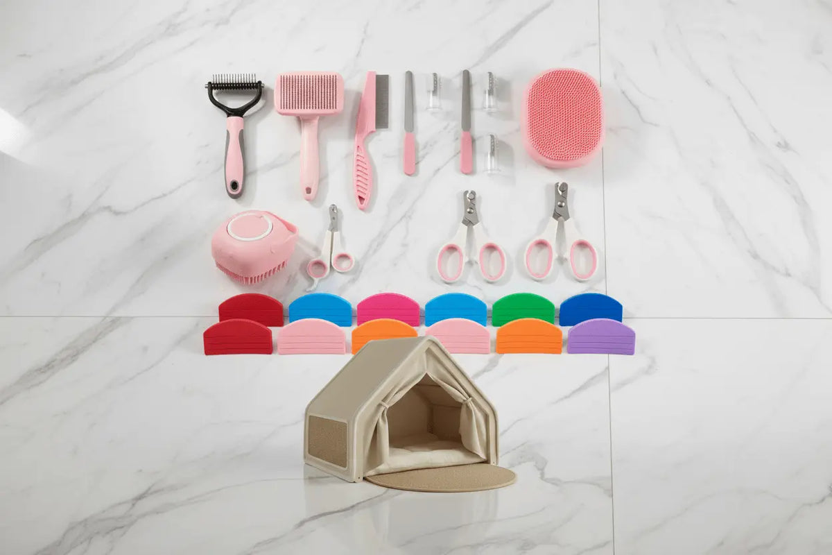 The Ultimate Maine Coon Gift Set — Grooming, Feeding & Hideaway Bundle