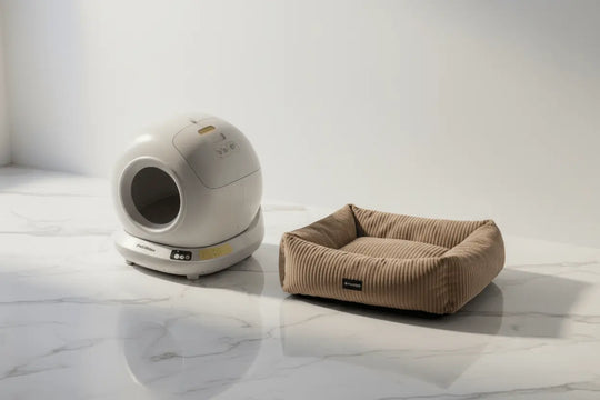 The Quiet Quarters — Globe Litter Tray & Velvet Cat Bed Bundle