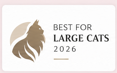 Best for Large Cats 2026 — fictional badge concept
