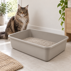 Maine Coon beside The Grand Cabinet Fit 58cm XL cat litter tray
