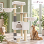 Ivory Crown cream cat tower beside a ginger Maine Coon in a sage room