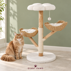 Willow Cloud cat tree in a sage room beside a ginger Maine Coon.