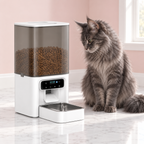 4.5L Automatic Cat Feeder with Timer with a smoky grey Maine Coon in a light pink room
