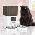 6L Dual-Bowl Wi-Fi Cat Feeder with 1080p Camera with a black Maine Coon in a light pink room