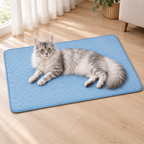 Silver and white Maine Coon resting on an XL AeroMat