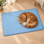 Orange Maine Coon curled asleep on an XL AeroMat