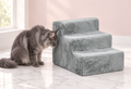 Compact Cat Stairs 35cm – Three-Step Plush Steps, shown with a smoky grey Maine Coon in an empty light pink room.