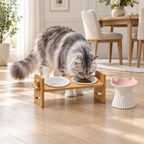 Generated scene of a silver-and-white Maine Coon eating from the Dining Duo bamboo feeding stand