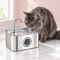 Large Cat | Maine Coon Water Fountain 3.2L – Stainless Steel with a smoky grey Maine Coon in a light pink room