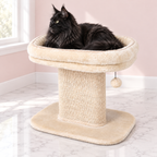 Maine Coon Cat Bed & Scratcher 50 cm – Hearthside Perch, Beige shown with a black Maine Coon in an empty light pink room.