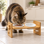 Illustrative Maine Coon eating from the Kitty Buffet ceramic bowl