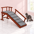 Maine Coon Cat Ramp 125cm – The Gentle Ascent, shown with a smoky grey Maine Coon in an empty light pink room.
