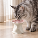 Illustrative silver Maine Coon drinking from the Purr-celain bowl
