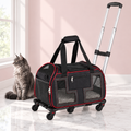 Rolling Pet Carrier with Wheels – 20kg Load Limit, shown with a smoky grey Maine Coon in an empty light pink room.