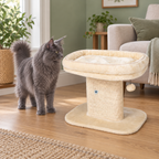 Adult solid grey Maine Coon beside the beige low cat perch in a sage green living room