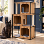 Adult solid black Maine Coon beside the three-cubby metal-frame cat tree in a navy reading room