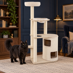 Adult solid black Maine Coon beside the natural and cream two-storey condo cat tree in a navy reading room