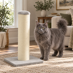 The Full Stretch scratching post beside a solid blue-grey Maine Coon to show its smaller-cat scale