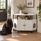 The Corner Gallery beside a full-sized black Norwegian Forest Cat in a hallway