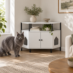 The Corner Gallery beside a full-sized grey Maine Coon in a sitting room
