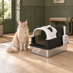 The Panda House litter box beside an adult cream Maine Coon in a sparse luxury room, shown for scale