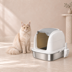 The Silver Parlour litter box beside an adult cream Maine Coon in a sparse luxury room, shown for scale